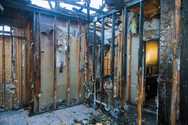 Professional Odor Removal technician working in Krugerville, TX